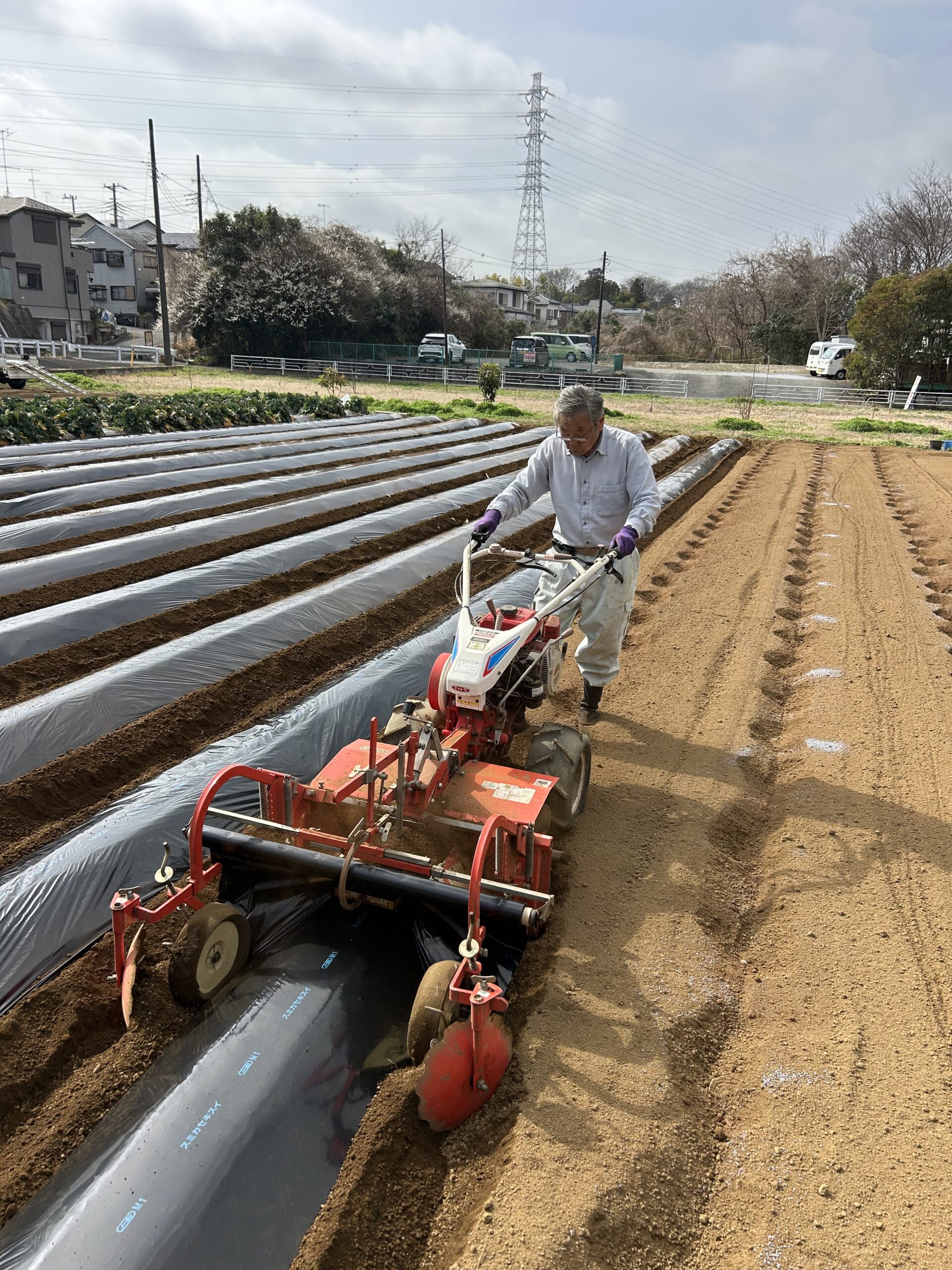 👉じゃがいも掘りの準備🥔